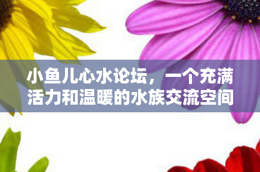 一个充满活力和温暖的水族交流空间图片