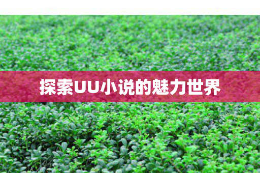 探索UU小说的魅力世界图片