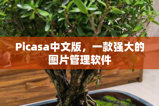一款强大的图片管理软件图片