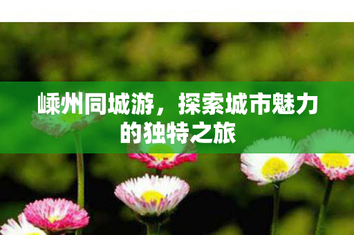 探索城市魅力的独特之旅图片