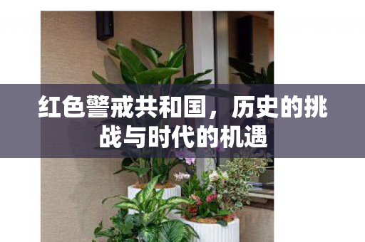 历史的挑战与时代的机遇图片