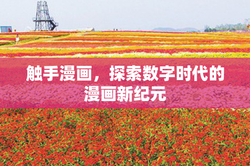 探索数字时代的漫画新纪元图片