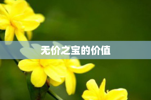 无价之宝的价值图片