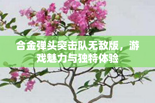 合金弹头突击队无敌版图片
