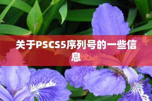 关于PSCS5序列号的一些信息图片