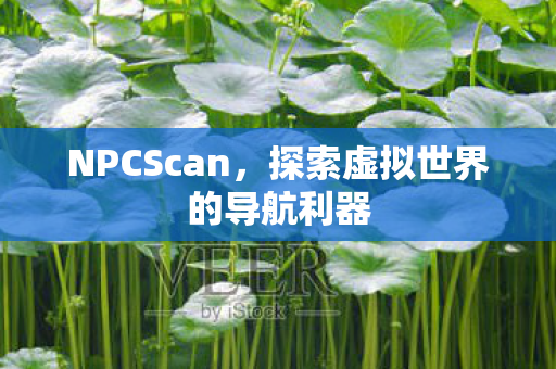 探索虚拟世界的导航利器图片