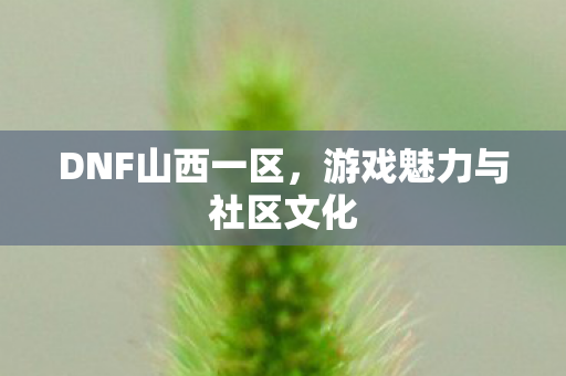 DNF山西一区,游戏魅力与社区文化 DNF山西一区,游戏魅力与社区文化