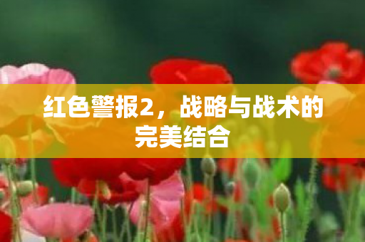 战略与战术的完美结合图片
