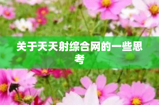 关于天天射综合网的一些思考图片
