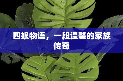 一段温馨的家族传奇图片