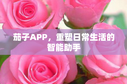 重塑日常生活的智能助手图片