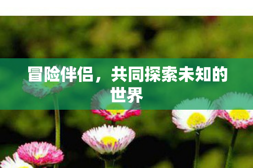共同探索未知的世界图片