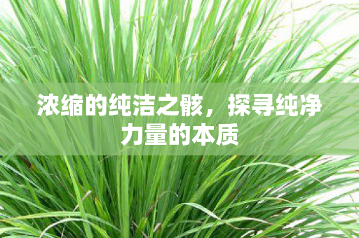 探寻纯净力量的本质图片