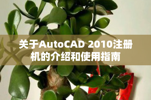 关于AutoCAD 2010注册机的介绍和使用指南图片