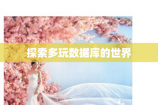 探索多玩数据库的世界图片