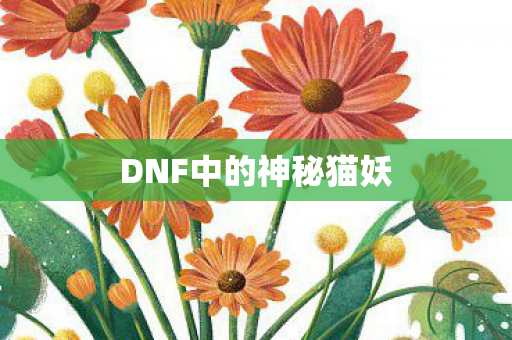 DNF中的神秘猫妖图片
