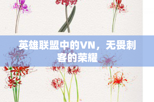 英雄联盟中的VN图片