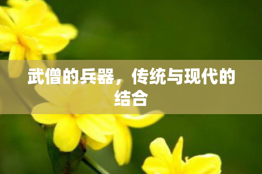 传统与现代的结合图片
