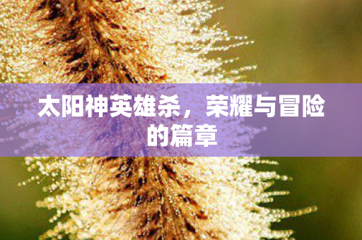 荣耀与冒险的篇章图片