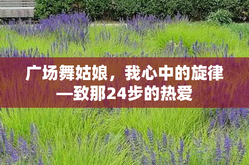 致那24步的热爱图片