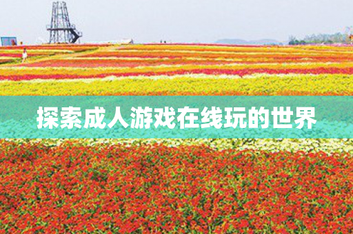 探索成人游戏在线玩的世界图片