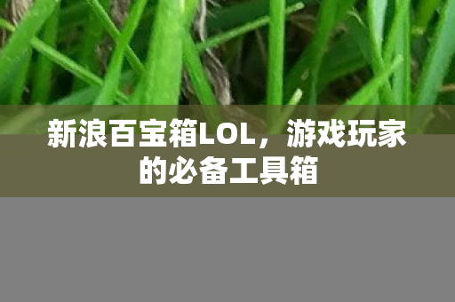 新浪百宝箱LOL,游戏玩家的必备工具箱 新浪百宝箱LOL,游戏玩家的必备工具箱