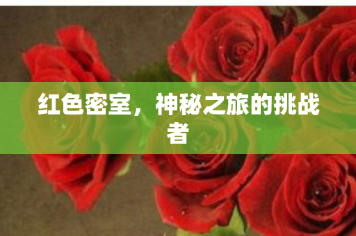 神秘之旅的挑战者图片