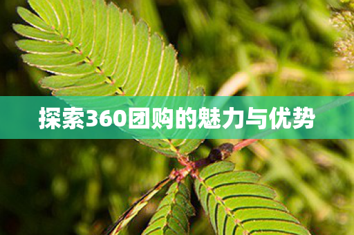 探索360团购的魅力与优势图片