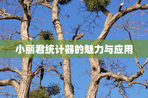 小丽君统计器的魅力与应用图片