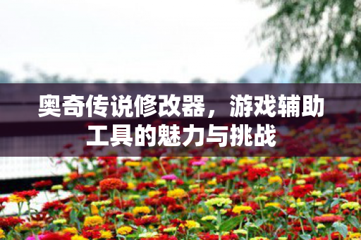 游戏辅助工具的魅力与挑战图片