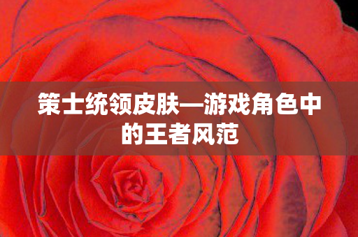 策士统领皮肤—游戏角色中的王者风范