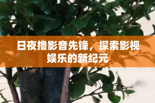 探索影视娱乐的新纪元图片