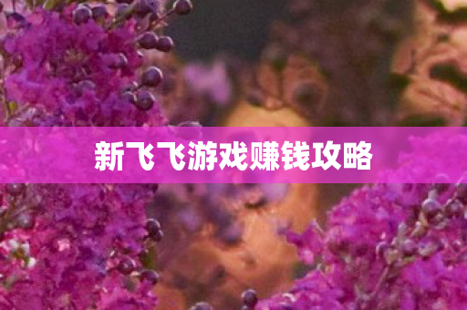 新飞飞游戏赚钱攻略图片