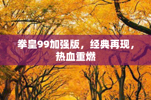 拳皇99加强版图片