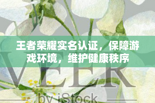王者荣耀实名认证图片