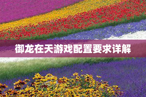 御龙在天游戏配置要求详解图片