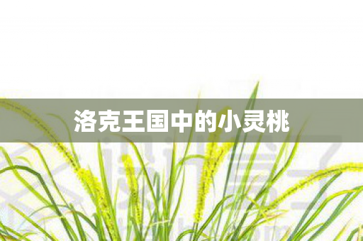 洛克王国中的小灵桃图片