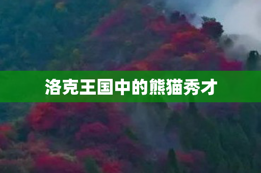 洛克王国中的熊猫秀才图片