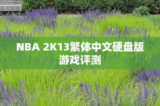 NBA 2K13繁体中文硬盘版游戏评测图片