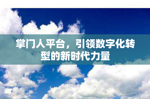 引领数字化转型的新时代力量图片