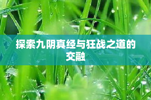 探索九阴真经与狂战之道的交融图片