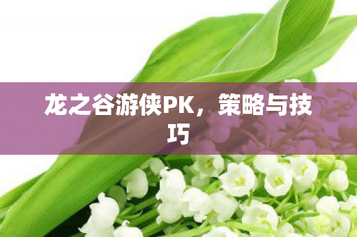 龙之谷游侠PK图片