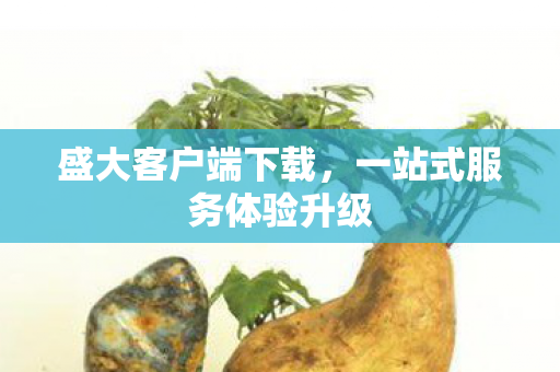 一站式服务体验升级图片