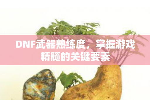 掌握游戏精髓的关键要素图片