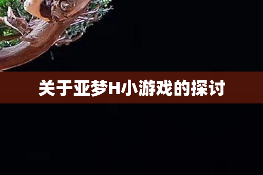 关于亚梦H小游戏的探讨图片
