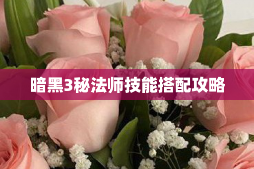 暗黑3秘法师技能搭配攻略图片