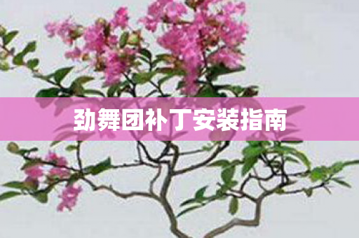 劲舞团补丁安装指南图片