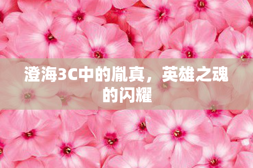 澄海3C中的胤真图片