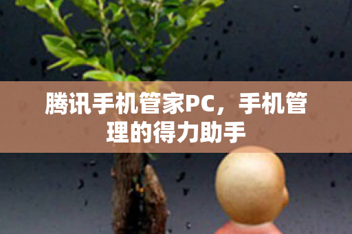 手机管理的得力助手图片