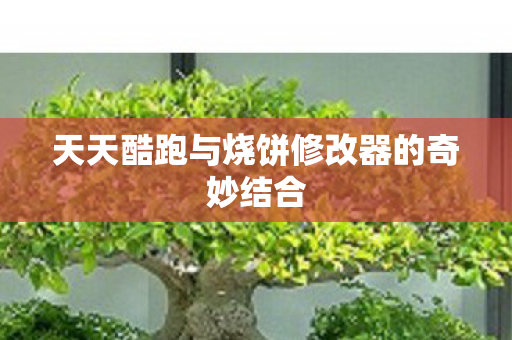 天天酷跑与烧饼修改器的奇妙结合图片